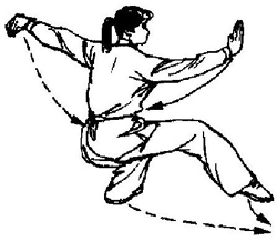 《五步拳》演示